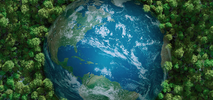 Coloray participă activ la cauza globală a protecției mediului.